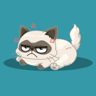Play What Famous Cat Are You - Free IO Game
