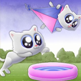 Play Extreme Kitten - Free IO Game