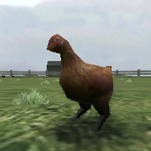 Play  Crazy Chicken 3D - Free IO Game