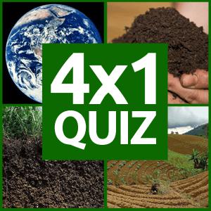 Play 4x1 Picture Quiz - Free IO Game