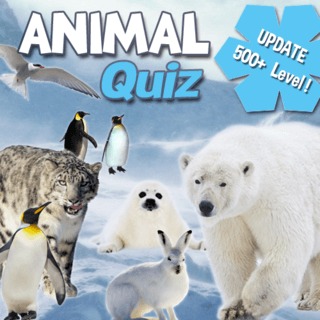 Play Animal Quiz - Free IO Game